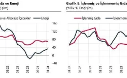 TCMB: Yıllık enflasyon temel mal ve enerjide yükseldi