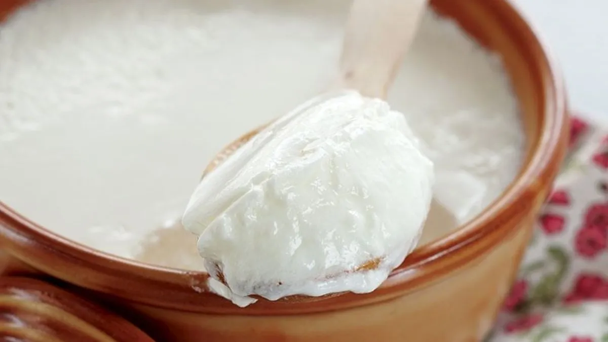 Bakanlık tek tek duyurdu! Gıda sahtekarları yine işbaşında… Yoğurt ve sumak yerine bakın ne satmışlar!