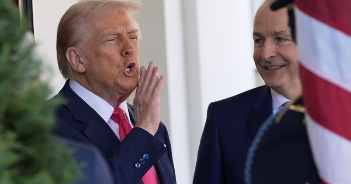 ABD Başkanı Trump Eğitim Bakanlığını kapatmaya hazırlanıyor