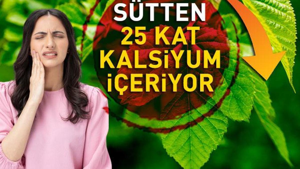 MUCİZENİN DOĞAL ŞİFA KAYNAĞI: Sütten 25 kat kalsiyum, ıspanaktan 10 kat demir içeriyor!