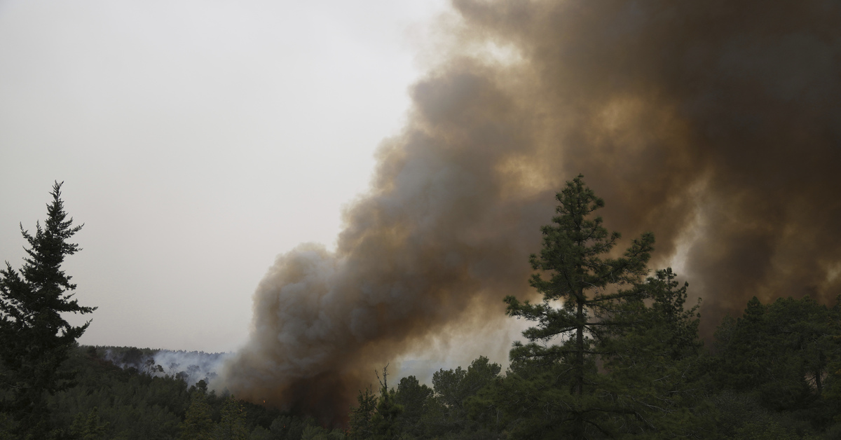 İsrail’de büyük yangın! Orman yangınları 6 noktada devam ediyor