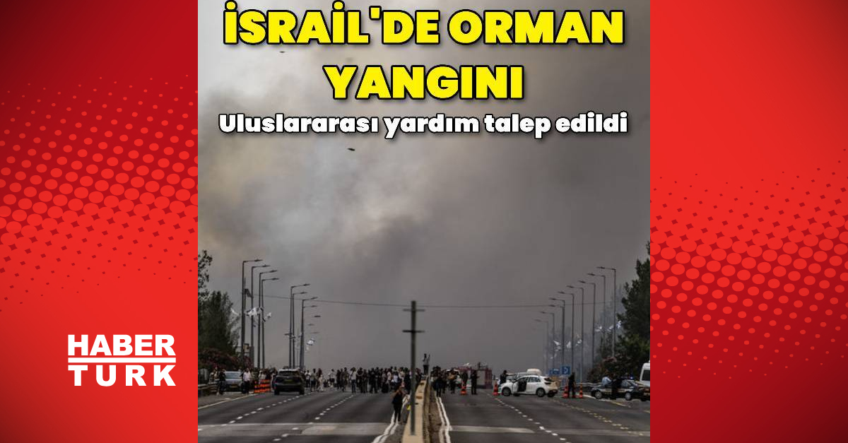 İsrail’de orman yangını: 12 bin dönüm alan yandı